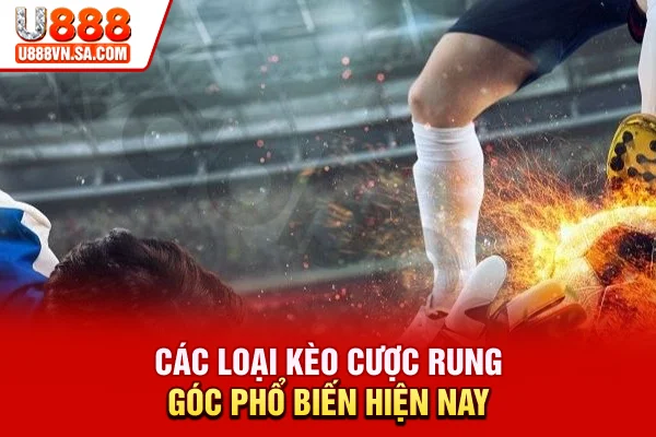 Kèo Rung Góc Là Gì? Cách Chơi Và Mẹo Cược Tối Ưu % Các loại kèo cược rung góc phổ biến hiện nay