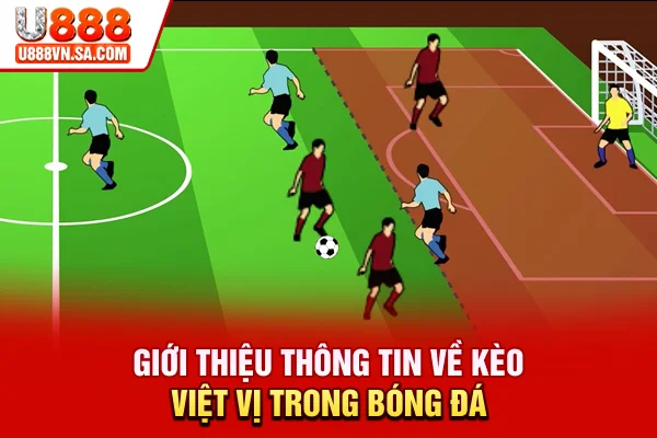 Giới thiệu thông tin về kèo việt vị trong bóng đá