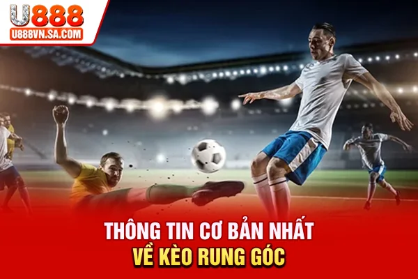 Kèo Rung Góc Là Gì? Cách Chơi Và Mẹo Cược Tối Ưu % Thông tin cơ bản nhất về kèo rung góc