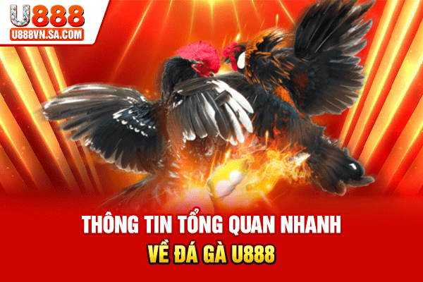 Đá Gà U888 – Sảnh Đá Gà Trực Tiếp Chuẩn Thomo % Thông tin tổng quan nhanh về đá gà U888